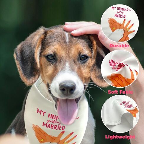 Do-Dottii My Humans يتزوجون قالت نعم باندانا الكلب لصور الزفاف، هدية الخطوبة، هدية دش الزفاف، باندانا الكلب، باندانا زفاف الكلب، إعلان الخطوبة، باندانا الكلب (أسود + أبيض) in Kuwait