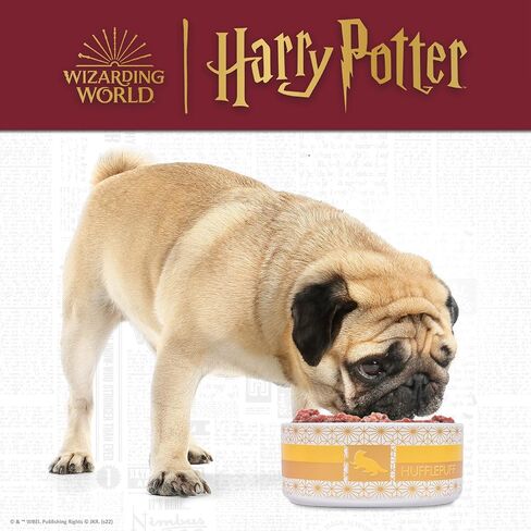Harry Potter Hufflepuff Bowl for Pets | Harry Potter Dog or Cat Feeding Bowl | 3.5 Cups or 28oz Capacity Ceramic Dishwasher Safe Pet Dish, Yellow Hufflepuff Pet Dish in Saudi Arabia