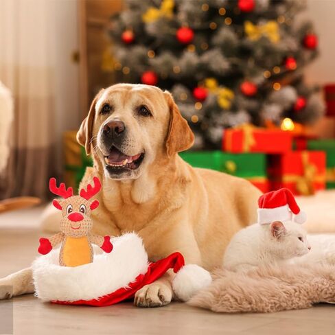 SNZOMDS ألعاب عيد الميلاد للكلاب للمضغ العدواني، ألعاب الكلاب المتينة للكلاب الكبيرة، ألعاب مضغ الكلاب القوية للكلاب الصغيرة والمتوسطة والكبيرة، لعبة صافرة شد الحبل من ألعاب الكلاب الحربية in Saudi Arabia