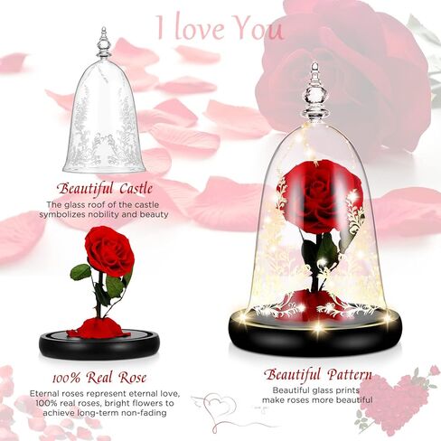 دي دي اس كيه واي وردة ساحرة محفوظة يدويا من بيوتي اند ذا بيست مع ضوء LED في قبة زجاجية على قاعدة خشبية، وردة حقيقية 100% لعيد الميلاد وعيد الحب، احمر in Kuwait