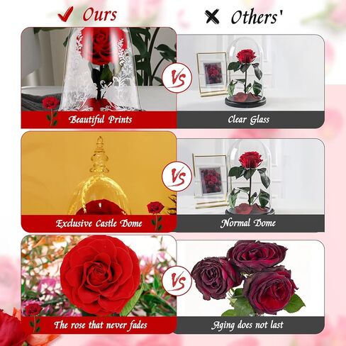 دي دي اس كيه واي وردة ساحرة محفوظة يدويا من بيوتي اند ذا بيست مع ضوء LED في قبة زجاجية على قاعدة خشبية، وردة حقيقية 100% لعيد الميلاد وعيد الحب، احمر in Kuwait