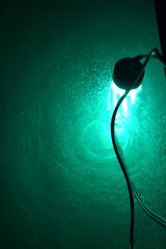 Bright Night Fishing Underwater Fishing Light 15,000 Lumen 50 ft Cord Waterproof AC Green LED Submersible Dock Boat Light Fish Attractor in Saudi Arabia