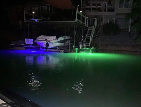 Bright Night Fishing Underwater Fishing Light 15,000 Lumen 50 ft Cord Waterproof AC Green LED Submersible Dock Boat Light Fish Attractor in Saudi Arabia