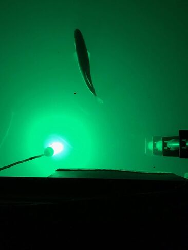 Bright Night Fishing Underwater Fishing Light 15,000 Lumen 50 ft Cord Waterproof AC Green LED Submersible Dock Boat Light Fish Attractor in Saudi Arabia