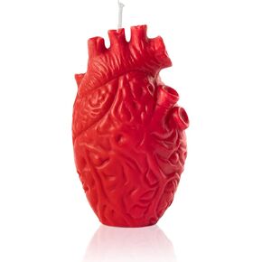 Zainpe Anatomical Heart Shaped Candle Gift Home Aesthetic Decor Pine Fragrance Natural Soy Wax Handmade Aromatherapy Candle Desk Decoration for House Bedroom Party Supplies 2.4 x 4.1 in