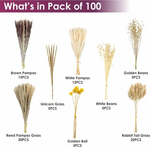Bloom Ease عشب بامباس طبيعي مجفف - 100 قطعة من باقة عشب بامباس المجففة الاصطناعية، زهور بوهو ونباتات مجففة اصطناعية وزخارف زهور لحفلات الزفاف - سيقان رقيق مع صندوق هدايا مجففات. in Kuwait