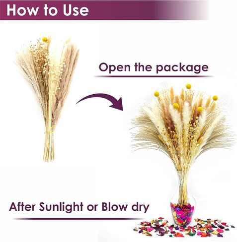 Bloom Ease عشب بامباس طبيعي مجفف - 100 قطعة من باقة عشب بامباس المجففة الاصطناعية، زهور بوهو ونباتات مجففة اصطناعية وزخارف زهور لحفلات الزفاف - سيقان رقيق مع صندوق هدايا مجففات. in Kuwait