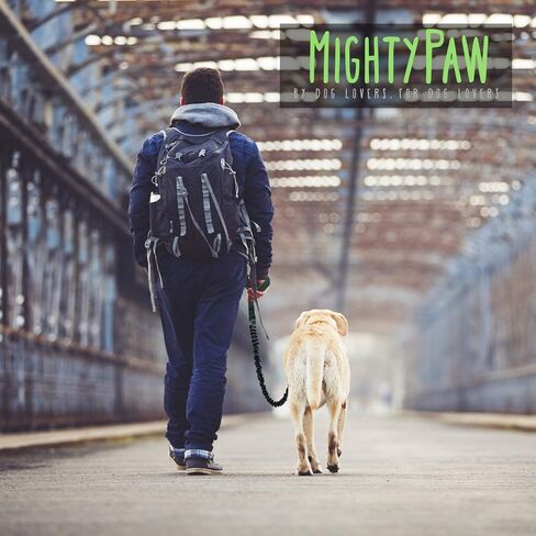 مقود الكلاب التكتيكي مايتي باو - مقبض مزدوج - مقود بنجي ممتص للصدمات للكلاب - بطانة مريحة من النيوبرين - مقود ممتاز - مقود طويل للكلاب - مقود للكلاب بمقبض مروري - مقود للكلاب (قماش) in Kuwait