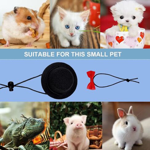 YOLUFER Small Pet Hat and Bow tie Guinea Pig Black Hat with Bow Tie Hamster Costume Pet Cap for Lizard Rabbit Hedgehog Kitten Doggy in Saudi Arabia