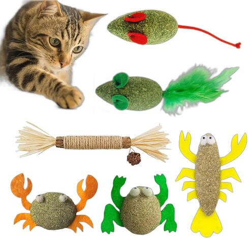 sioytoer ألعاب النعناع البري الطبيعية للقطط العصي الفضية تنظيف الأسنان القط مضغ لعبة تفاعلية سرطان البحر الضفدع الروبيان الجرذان ألعاب هدية الحيوان للقطط والقطط (6 قطع) in Kuwait