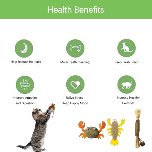 sioytoer ألعاب النعناع البري الطبيعية للقطط العصي الفضية تنظيف الأسنان القط مضغ لعبة تفاعلية سرطان البحر الضفدع الروبيان الجرذان ألعاب هدية الحيوان للقطط والقطط (6 قطع) in Kuwait
