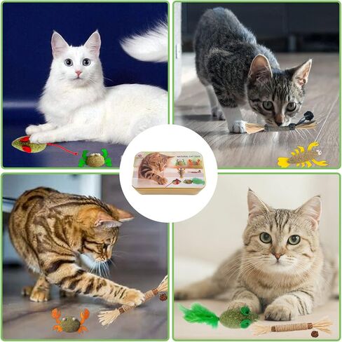 sioytoer ألعاب النعناع البري الطبيعية للقطط العصي الفضية تنظيف الأسنان القط مضغ لعبة تفاعلية سرطان البحر الضفدع الروبيان الجرذان ألعاب هدية الحيوان للقطط والقطط (6 قطع) in Kuwait