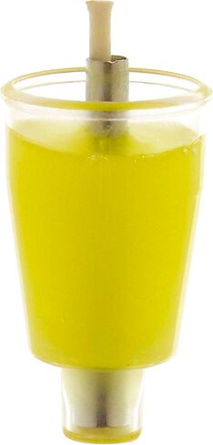 Ohr Candles E-Z Light 44 شموع شانوكا بزيت الزيتون الهلامي بزيت الزيتون المعبأ مسبقًا (1.5 ساعة) in Kuwait