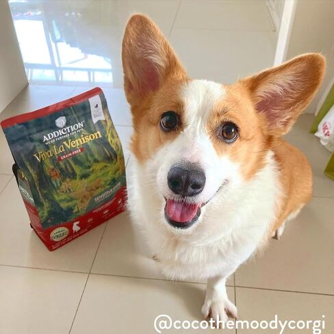 Addiction Viva La Venison Entrée Dog - طعام جاف - تركيبة بروتين ممتازة للكلاب - صُنعت في نيوزيلندا - العناية بالبشرة والمعطف - طعام الكلاب للكلاب البالغة والجراء - 33 رطلاً in Kuwait