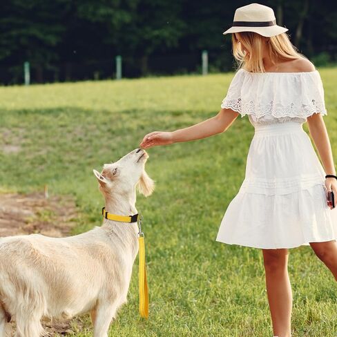 حبل ماعز قصير من النايلون بطول 12 انش من ابي لايك مع تصميم شريط عاكس للضوء لحيوانات المزرعة الصغيرة والبقر والاغنام والماعز والحصان والكلاب الكبيرة والمشي in Kuwait