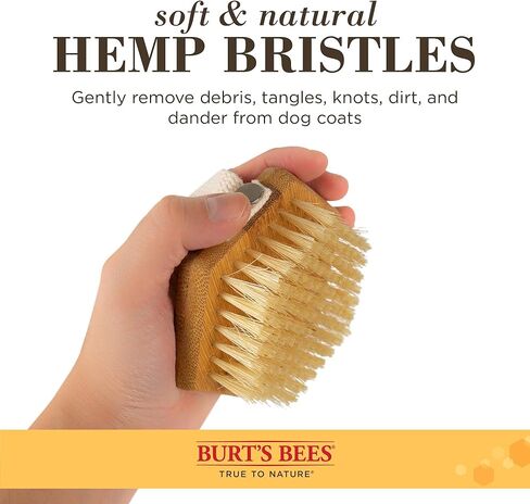 بيرت بيز للحيوانات الأليفة فرشاة النخيل بشعيرات القنب | أفضل فرشاة مريحة للكلاب للعناية بالكلاب الكبيرة | مقبض فرشاة الكلب سهل الإمساك يقلل من الضغط على معصمك | مثالية للاستمالة اليومية in Kuwait