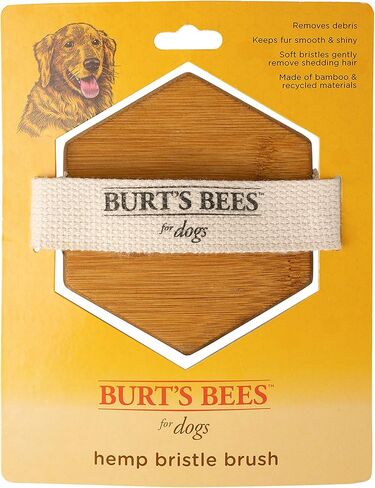 بيرت بيز للحيوانات الأليفة فرشاة النخيل بشعيرات القنب | أفضل فرشاة مريحة للكلاب للعناية بالكلاب الكبيرة | مقبض فرشاة الكلب سهل الإمساك يقلل من الضغط على معصمك | مثالية للاستمالة اليومية in Kuwait