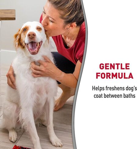 Nature's Miracle Freshening Spray For Dogs Freshens Dog’s Coat Between Baths And Neutralizes Tough Odors With Sunkissed Breeze Scent, 8 Ounces in Saudi Arabia