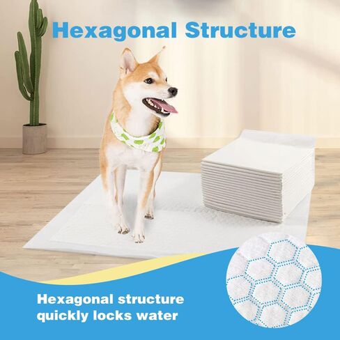 وسائد للكلاب، وسائد تدريب الجراء على التبول فائقة الامتصاص ومقاومة للتسرب وتجف بسرعة، وسادة للحيوانات الاليفة للاستعمال مرة واحدة للكلاب والقطط والجراء والارانب وغيرها (13.1×13.1 انش/100 قطعة) in Kuwait