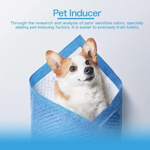 وسائد للكلاب، وسائد تدريب الجراء على التبول فائقة الامتصاص ومقاومة للتسرب وتجف بسرعة، وسادة للحيوانات الاليفة للاستعمال مرة واحدة للكلاب والقطط والجراء والارانب وغيرها (13.1×13.1 انش/100 قطعة) in Kuwait