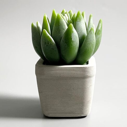 EMOHOME Lavender Scented Candle, Aromatherapy Succulent Candle Set with Real Terracotta Pot for Home Party Decors and Warm Gifts. in Saudi Arabia