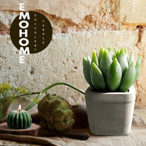 EMOHOME Lavender Scented Candle, Aromatherapy Succulent Candle Set with Real Terracotta Pot for Home Party Decors and Warm Gifts. in Saudi Arabia