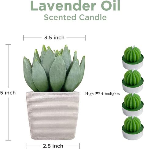 EMOHOME Lavender Scented Candle, Aromatherapy Succulent Candle Set with Real Terracotta Pot for Home Party Decors and Warm Gifts. in Saudi Arabia