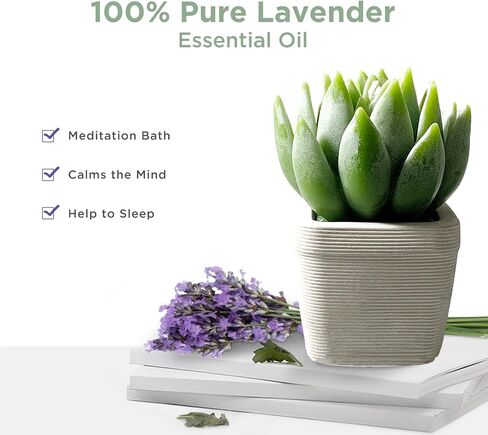 EMOHOME Lavender Scented Candle, Aromatherapy Succulent Candle Set with Real Terracotta Pot for Home Party Decors and Warm Gifts. in Saudi Arabia