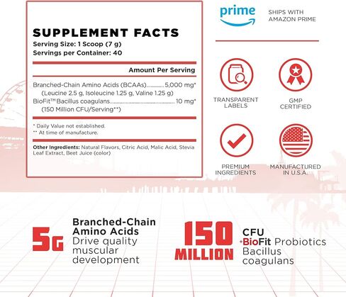 Old School Labs Classic BCAA 2:1:1 - أحماض أمينية متفرعة السلسلة للعضلات الهزيلة والتعافي مع البروبيوتيك الحيوي - نكهة البطيخ الطبيعية تصنع مشروبًا لذيذًا أثناء أي نشاط in Kuwait
