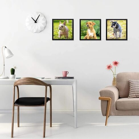 Golden State Art 12x12 Black Frame Use as 8x8 Picture Frame with White Mat or 12x12 Picture Frame without Mat - Solid Wood and Tempered Glass-Wall Display (1 Pack) in Kuwait