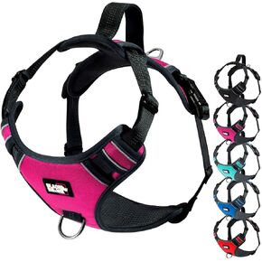 Black Rhino - The Comfort Dog Harness with Mesh Padded Vest for Small - Large Breeds | Adjustable | Reflective (Medium, Black/Bl)