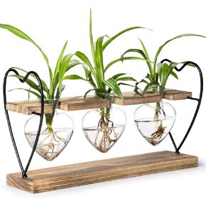 Sapowerntus Heart Propagation Stations, Cute Plant Terrarium Wooden Stand Love Glass Vase, Hydroponic Air Plants Desk Office Garden Valentines Gift Decor for Women Plant Lover, 3 Heart Vase in Kuwait