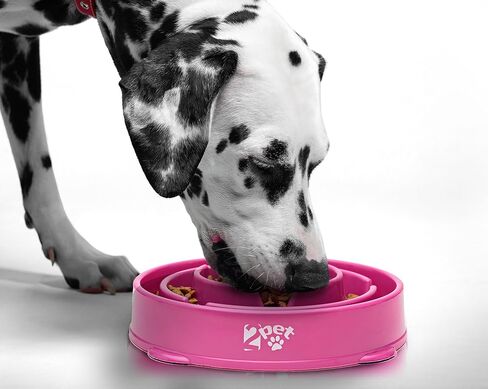 2PET Slowly Bowly - طبق تفاعلي ممتع للكلاب للأكل السريع، يوقف الاختناق والانتفاخ، خالٍ من مادة BPA، آمن للاستخدام في غسالة الأطباق، ضمان لمدة عام in Kuwait