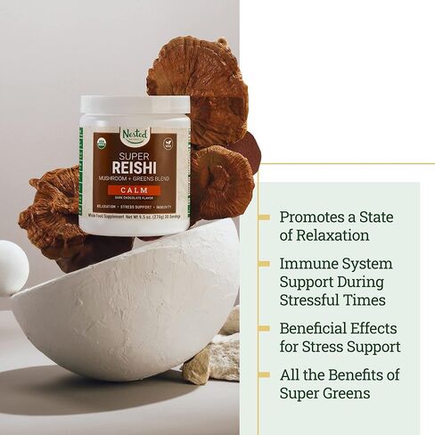 Nested Naturals #1 Green Superfood with 1000 mg Mushrooms | 100% USDA Organic Non-GMO Vegan Supplement | 20+ Whole Foods (Spirulina, Wheat Grass, Barley) (Focus, 30 Servings) (Reishi + Shaker Bottle) in Kuwait