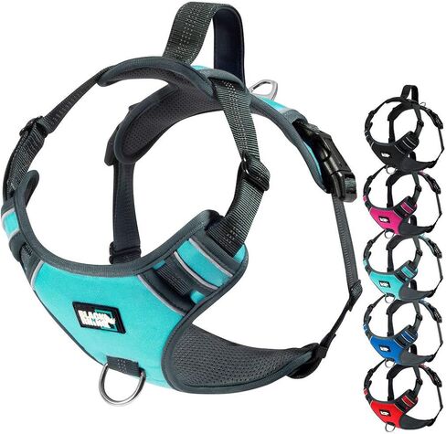 Black Rhino - The Comfort Dog Harness with Mesh Padded Vest for Small - Large Breeds | Adjustable | Reflective (Medium, Black/Bl) in Kuwait