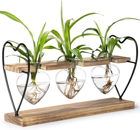 Sapowerntus Heart Propagation Stations, Cute Plant Terrarium Wooden Stand Love Glass Vase, Hydroponic Air Plants Desk Office Garden Valentines Gift Decor for Women Plant Lover, 3 Heart Vase in Kuwait