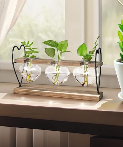 Sapowerntus Heart Propagation Stations, Cute Plant Terrarium Wooden Stand Love Glass Vase, Hydroponic Air Plants Desk Office Garden Valentines Gift Decor for Women Plant Lover, 3 Heart Vase in Kuwait