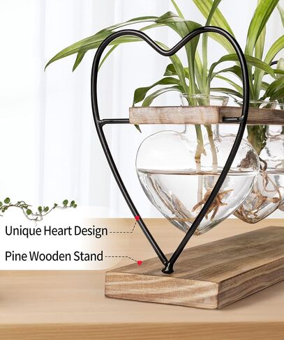 Sapowerntus Heart Propagation Stations, Cute Plant Terrarium Wooden Stand Love Glass Vase, Hydroponic Air Plants Desk Office Garden Valentines Gift Decor for Women Plant Lover, 3 Heart Vase in Kuwait