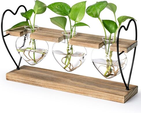 Sapowerntus Heart Propagation Stations, Cute Plant Terrarium Wooden Stand Love Glass Vase, Hydroponic Air Plants Desk Office Garden Valentines Gift Decor for Women Plant Lover, 3 Heart Vase in Kuwait