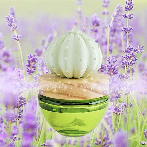 ES PAZION Cactus Oil Diffuser, Gypsum Saguaro Aroma Diffuser for Fragrant Homes Living Rooms Bathroom Office Decoration Lime & Green Leaf 3.4oz(100ml) in Saudi Arabia