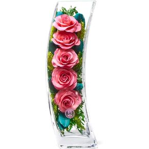 In Flores Veritas | Fresh Cut Preserved Roses in a Sealed Glass Vase | Long Lasting Bouquet Stays Fresh for 5+ Years | No Water Needed | Allergy Free | Unique Present Gift (Radiant Red) in Saudi Arabia