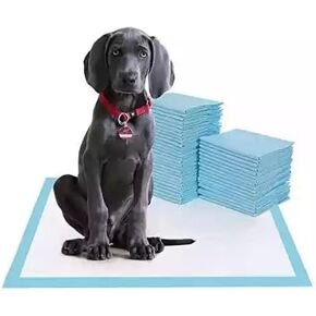 Puppy and Dog Pee Pads, Thicken 6 Layers Potty Training Pads for Dogs Cats Rabbits with Super-Absorbent ＆ Leak-Proof Design and Quick-Dry Surface (L, 60 * 60 cm, 40 Count)