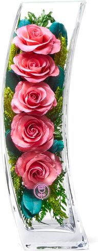 In Flores Veritas | Fresh Cut Preserved Roses in a Sealed Glass Vase | Long Lasting Bouquet Stays Fresh for 5+ Years | No Water Needed | Allergy Free | Unique Present Gift (Radiant Red) in Saudi Arabia
