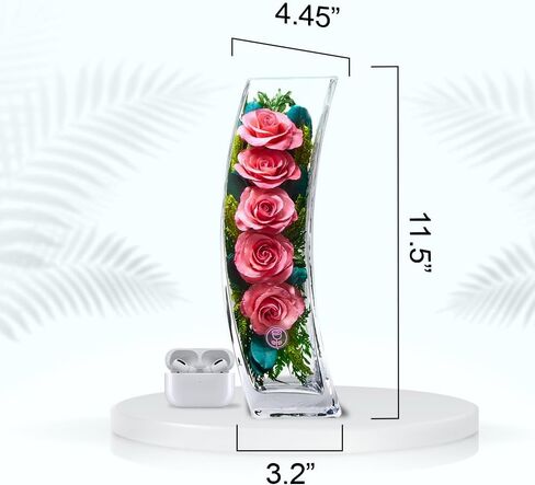 In Flores Veritas | Fresh Cut Preserved Roses in a Sealed Glass Vase | Long Lasting Bouquet Stays Fresh for 5+ Years | No Water Needed | Allergy Free | Unique Present Gift (Radiant Red) in Saudi Arabia