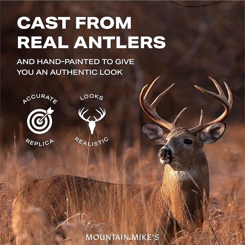 حامل ستارة خلفية من Mountain Mike's Repproductions Co. من البلاستيك، قرن الوعل ، مجموعة من 2 in Kuwait