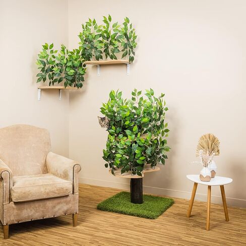 مجموعة شجرة أنشطة القطط بأوراق الشجر من On2 Pets وبيت القطط وشقة القطط مع مجموعة من رفين للقطط مثبتين على الحائط، صنع في الولايات المتحدة الأمريكية (شجرة قطط متوسطة بمستويين) in Kuwait