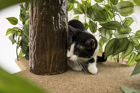 مجموعة شجرة أنشطة القطط بأوراق الشجر من On2 Pets وبيت القطط وشقة القطط مع مجموعة من رفين للقطط مثبتين على الحائط، صنع في الولايات المتحدة الأمريكية (شجرة قطط متوسطة بمستويين) in Kuwait