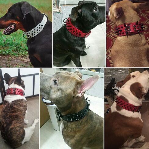 طوق بيري بت المرصع بالكلاب - أطواق جلدية أنيقة للكلاب - عرض 2 بوصة مناسب للكلاب المتوسطة والكبيرة - مثل بيتبول ماستيف - مسامير سوداء وجلد أسود، 17-20 بوصة in Kuwait