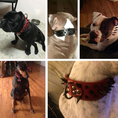 طوق بيري بت المرصع بالكلاب - أطواق جلدية أنيقة للكلاب - عرض 2 بوصة مناسب للكلاب المتوسطة والكبيرة - مثل بيتبول ماستيف - مسامير سوداء وجلد أسود، 17-20 بوصة in Kuwait