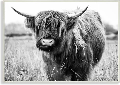 Stupell Industries Monochrome Farmland Longhorn Cattle Cow Photography, Design by Amy Brinkman in Kuwait